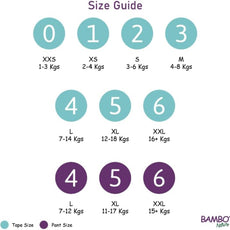 Size 5 Maxi Pack Premium Baby Diapers - XL Size, 24 Count, for Premature Baby - Super Absorbent, Eco-Friendly and with a Wetness Indicator