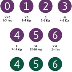 Size 4 / L Premium Training Pants, Pull Ups, Eco-Labelled Potty Training Pants, Training Nappy Pants, Secure & Comfortable, Discreet Pants For Active Day & Comfy Night's Sleep - 20PK