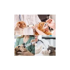 Pack of 16 30 ml Syringes, Sterile Syringes with Lid, Plastic Syringe for Oil, Brake Fluid, Reusable Plastic Syringe for Small Pet Feeding, Engine Oil or Brake Fluid